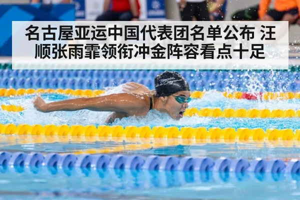 swimmer butterfly stroke race